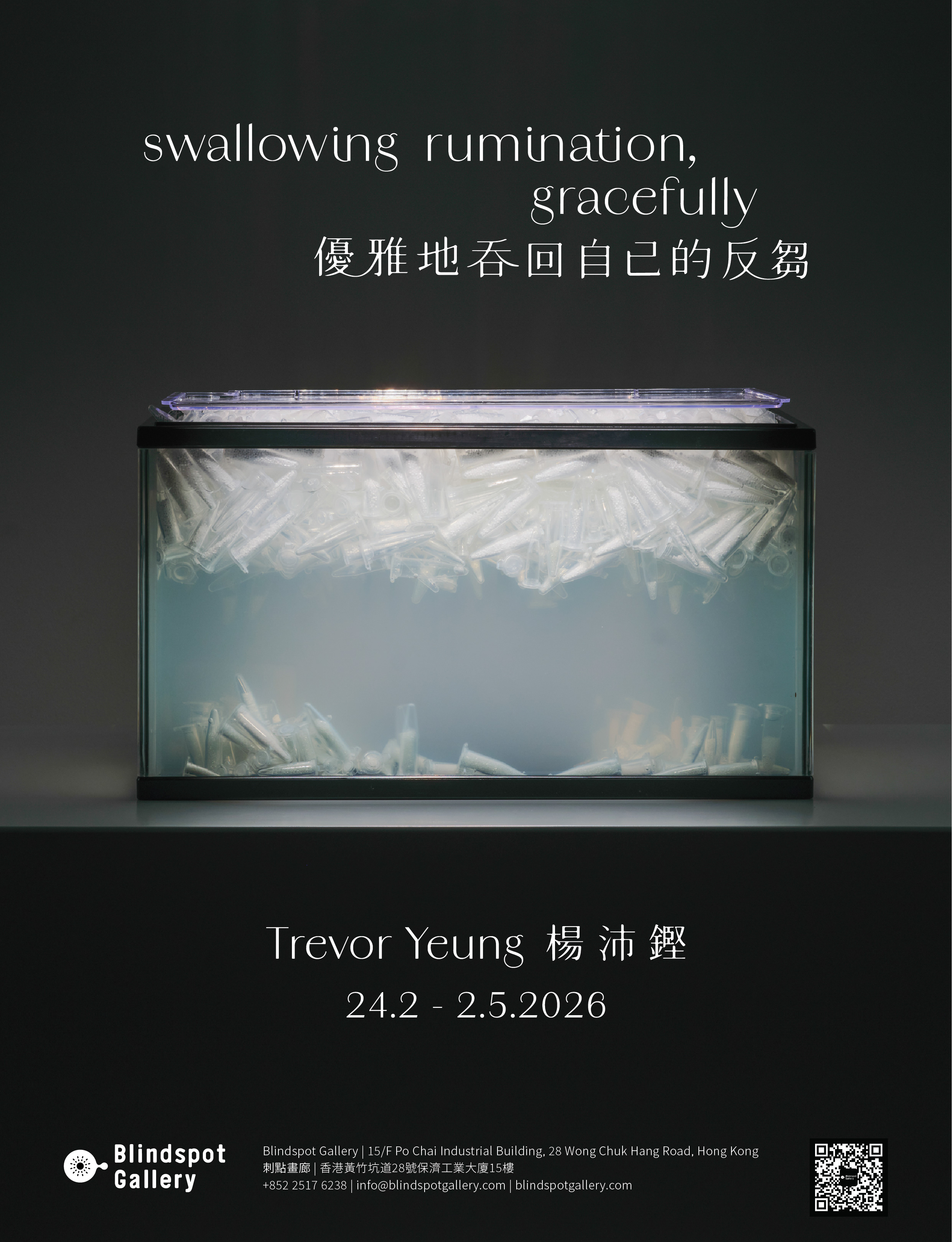 Trevor Yeung: swallowing rumination, gracefully